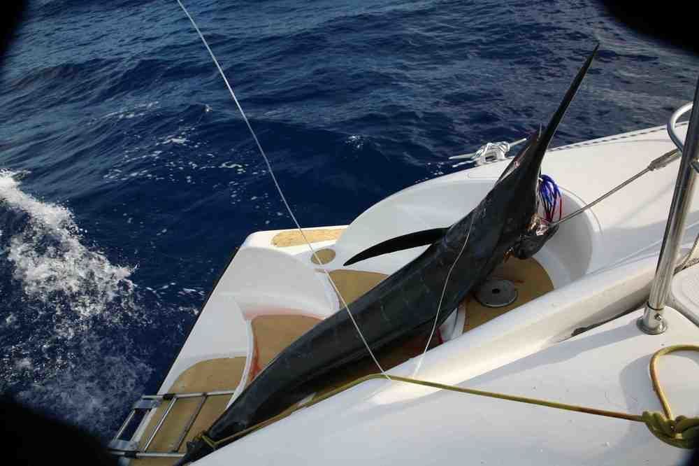 Tahiti Sail And Dive Hotell Vaitape Exteriör bild
